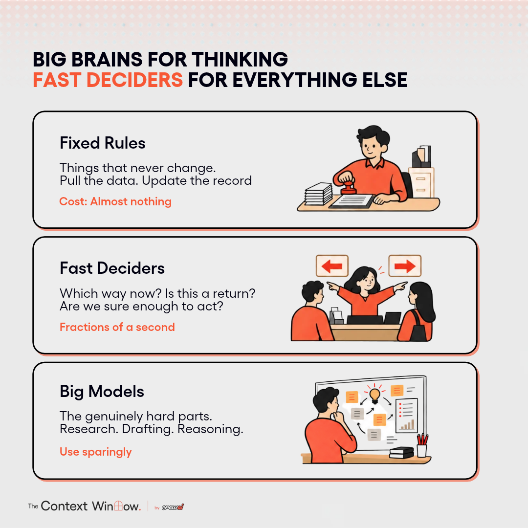 Big brains (1)